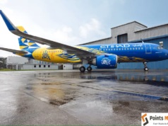Etihad Airways and CSK Reveal New Aircraft Livery Etihad Airways and Chennai Super Kings Reveal a Bold New Aircraft Livery