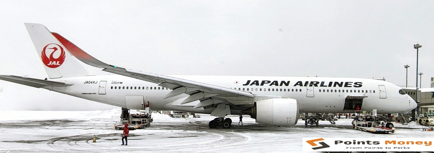 Japan Airlines (JAL) frequent flyer program called JAL Mileage Bank (JMB) (3)