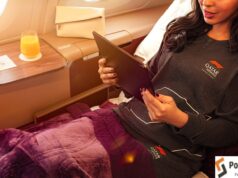 Qatar Airways Grand Prix Exciting Onboard Offerings for F1 Fans LongeWear