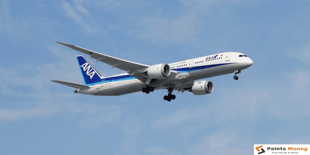 Nippon Airways (ANA) loyalty program ANA Mileage Club (AMC) E