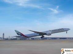 Emirates and Donkey Sanctuary Tackle Skin Trafficking Emirates and Donkey Sanctuary Tackle Skin Trafficking