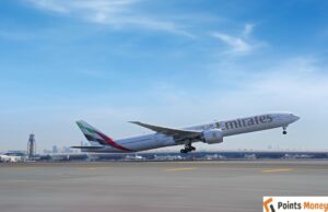 Emirates and Donkey Sanctuary Tackle Skin Trafficking Emirates and Donkey Sanctuary Tackle Skin Trafficking