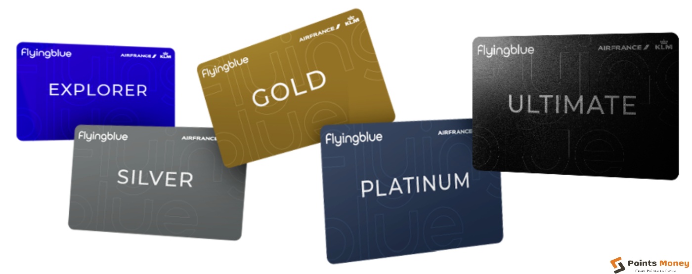 Japan Airline Flying Blue rewards program